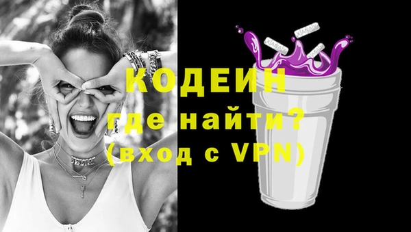 соль ск Новодвинск
