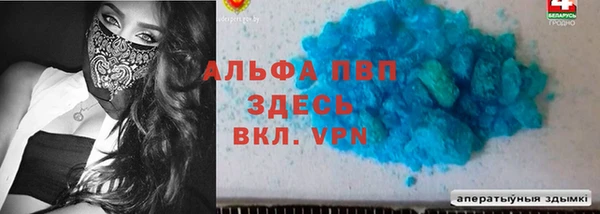 соль ск Новодвинск