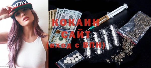 соль ск Новодвинск