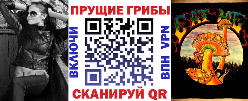 гидра зеркало  Зима  Галлюциногенные грибы MAGIC MUSHROOMS 
