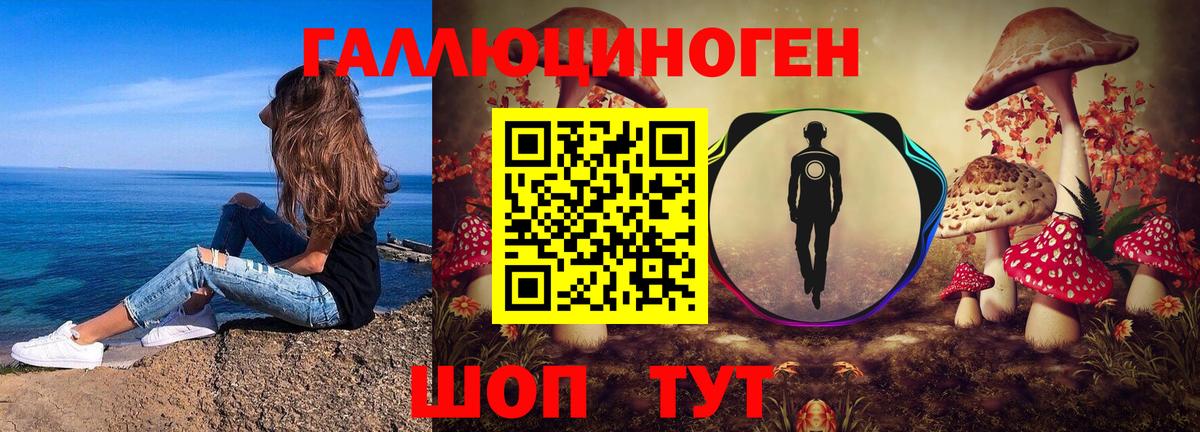 Галлюциногенные грибы MAGIC MUSHROOMS Зима