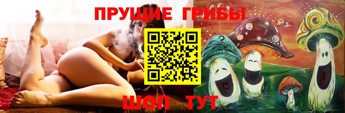 Псилоцибиновые грибы MAGIC MUSHROOMS  Вход с VPN  Зима 