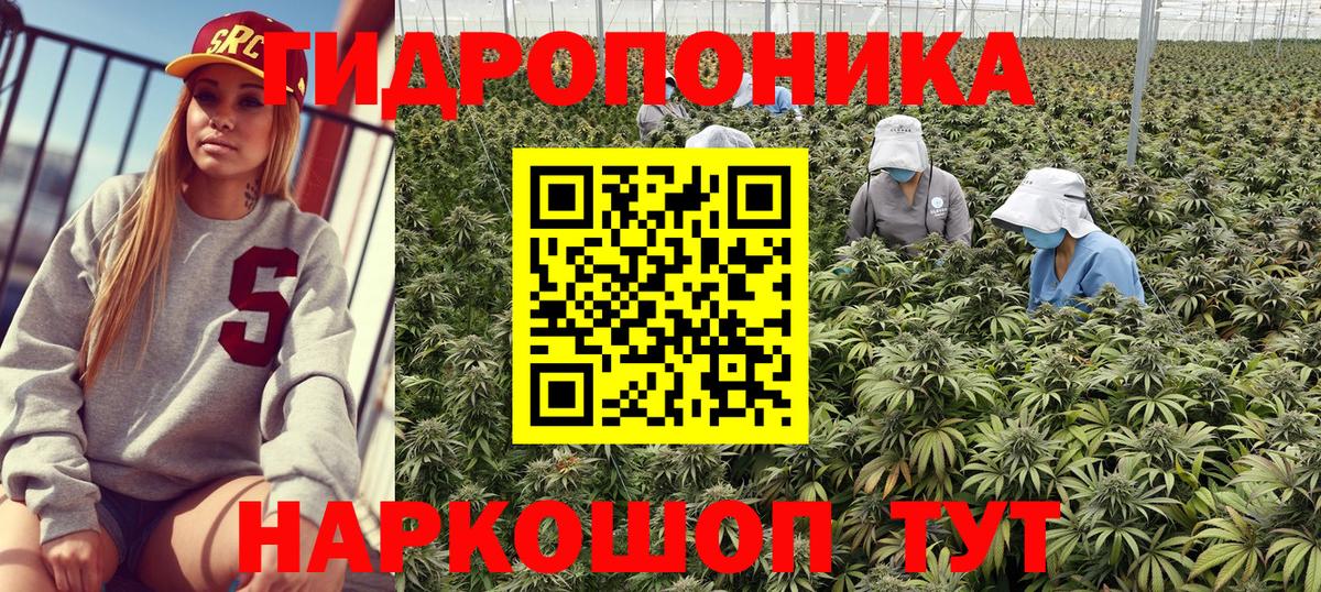 Шишки марихуана Ganja  Марихуана Bruce Banner  Каннабис сатива  Вход с VPN  Зима 